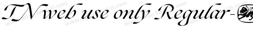 TN web use only Regular字体转换